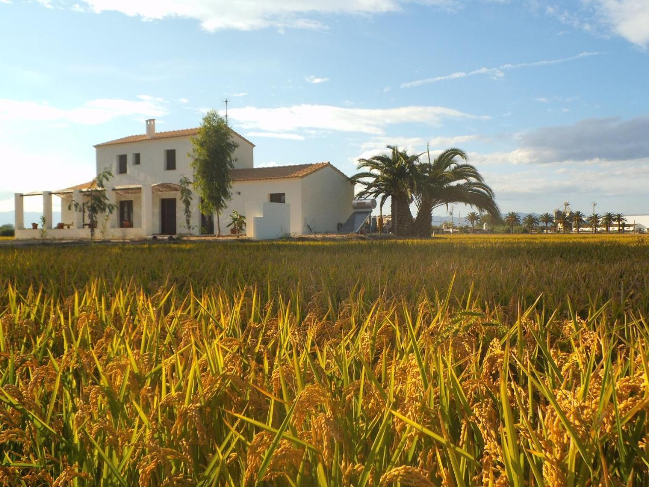 Gasthaus Mas Dels Bonos Deltebre Exterior foto